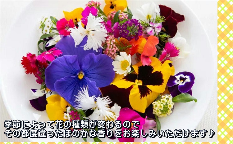 お料理の仕上げの一振りで食卓に彩りを エディブルフラワーソルト3種の花びらセット【106-0004】