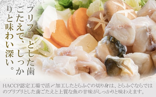 活〆おうごんとらふぐ贅沢4人前セット【095-0007】