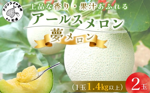 1.4kg以上！大玉アールスメロン　夢メロン2玉入り( メロン 大玉 夢メロン アールスメロン )【B0-202】