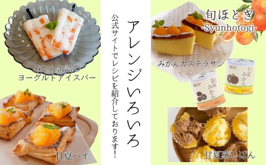 缶詰工場直送 特選果実「旬ほとぎ」温州みかん 12缶 ( みかん ミカン 温州みかん 缶詰 みかん缶 シラップ漬け ) 【165-0002】