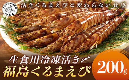 生食用冷凍活き〆福島くるまえび200g×1パック( 車エビ クルマエビ くるまえび えび エビ 海老 生食用 )【152-0004】