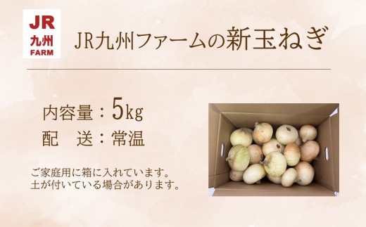 JR九州ファームの 新玉ねぎ 5kg( 玉ねぎ 甘い 野菜 新玉ねぎ 野菜 国産 送料無料 )【176-0001】