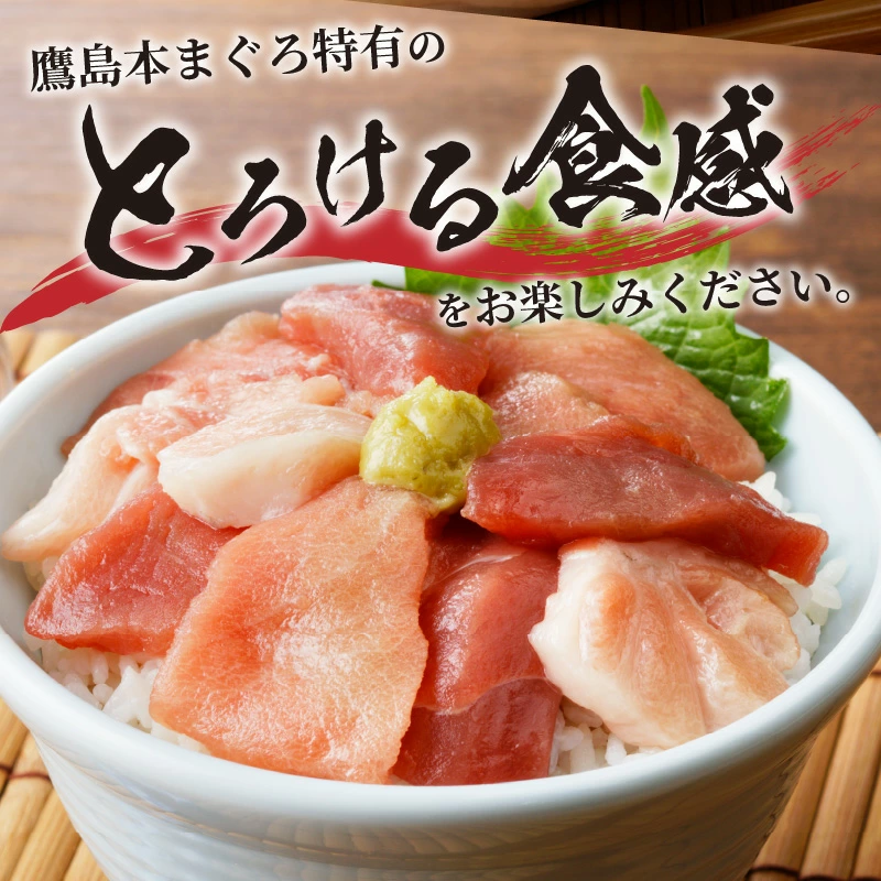鷹島産本まぐろ 贅沢まぐろ たっぷり2人前(赤身と中・大トロの切り落とし200g)×1パック( まぐろ マグロ 鮪 大トロ 中トロ 赤身 本まぐろ 切り落とし 簡単解凍 )【134-0012】