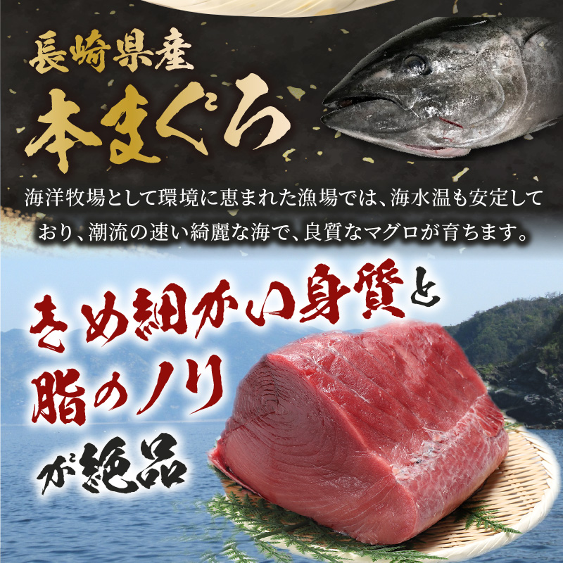 【訳あり】長崎県産本まぐろ贅沢盛り100g×3パック【B1-171】
