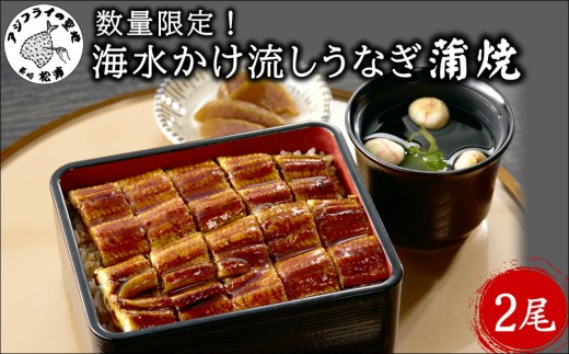 数量限定！海水かけ流しうなぎ蒲焼2尾【B5-102】