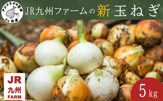 JR九州ファームの 新玉ねぎ 5kg( 玉ねぎ 甘い 野菜 新玉ねぎ 野菜 国産 送料無料 )【176-0001】