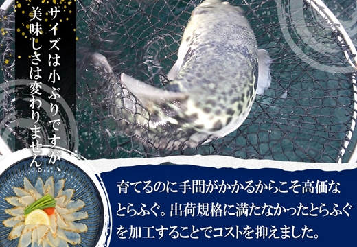 訳あり大容量！驚きの逸品「高級とらふぐ炙りてっさ」10人前【096-0009】