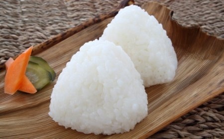 米5kgと卵20個付き！野菜の詰め合わせ定期便10回(上旬)【定期便】【K00-009】