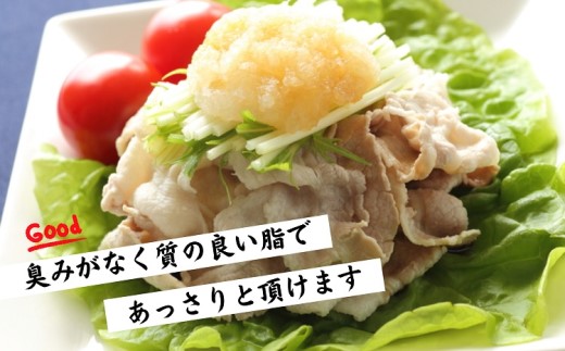 長崎県産豚ロースしゃぶしゃぶ用800g( 長崎県産豚 豚ロース 薄切り しゃぶしゃぶ 生姜焼き 豚肉巻き )【111-0002】