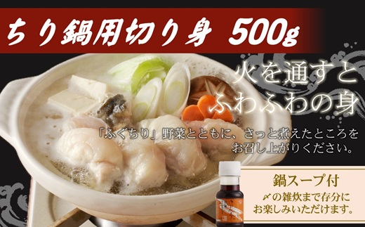 漁協直送！とらふぐ刺身とちり鍋セット3～4人前(白子、茶漬け付)【151-0017】