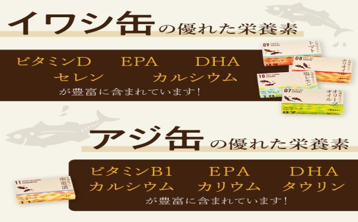 缶詰工場直送 「旬ほとぎ」イワシ缶＆アジ南蛮漬缶 5種類の味わい15缶 ( ふるさと納税 アジ缶 イワシ缶 缶詰 イワシ アジ 南蛮漬 いわし ご飯のお供 非常食 保存食 送料無料 ) 【165-0009】
