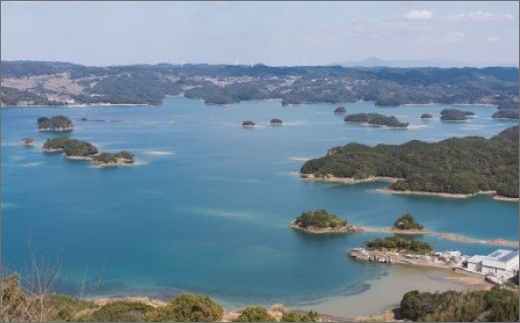 九州発！貸し切り遊覧船つばき号 弘法大師が筆をおとす美しさ「いろは島」デイクルーズ(2時間)【048-0008】