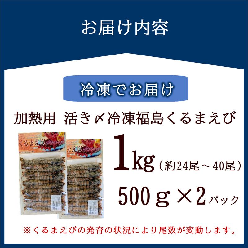 加熱用 活き〆冷凍福島くるまえび1kg(500g×2パック)( 車エビ クルマエビ くるまえび えび エビ 海老 加熱用 )【152-0010】