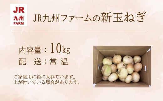 JR九州ファームの 新玉ねぎ 10kg( 玉ねぎ 甘い 野菜 新玉ねぎ 野菜 国産 送料無料 )【176-0008】
