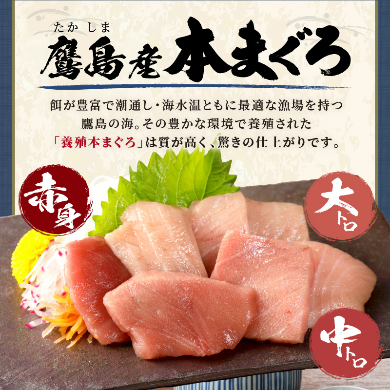 鷹島産本まぐろ 食べきりサイズ(80g×2p)とアジフライのセット(4枚×1p) ( 本まぐろ マグロ 鷹島産本まぐろ アジフライ あじ フィレタイプ ) 【A9-072】