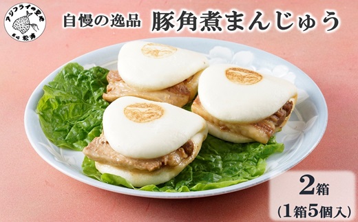 自慢の逸品、豚角煮まんじゅう2箱(1箱5個入り)( 角煮 角煮まんじゅう 豚角煮 角煮まん 個包装 中華 ギフト 贈り物 プレゼント 贈答 )【169-0003】