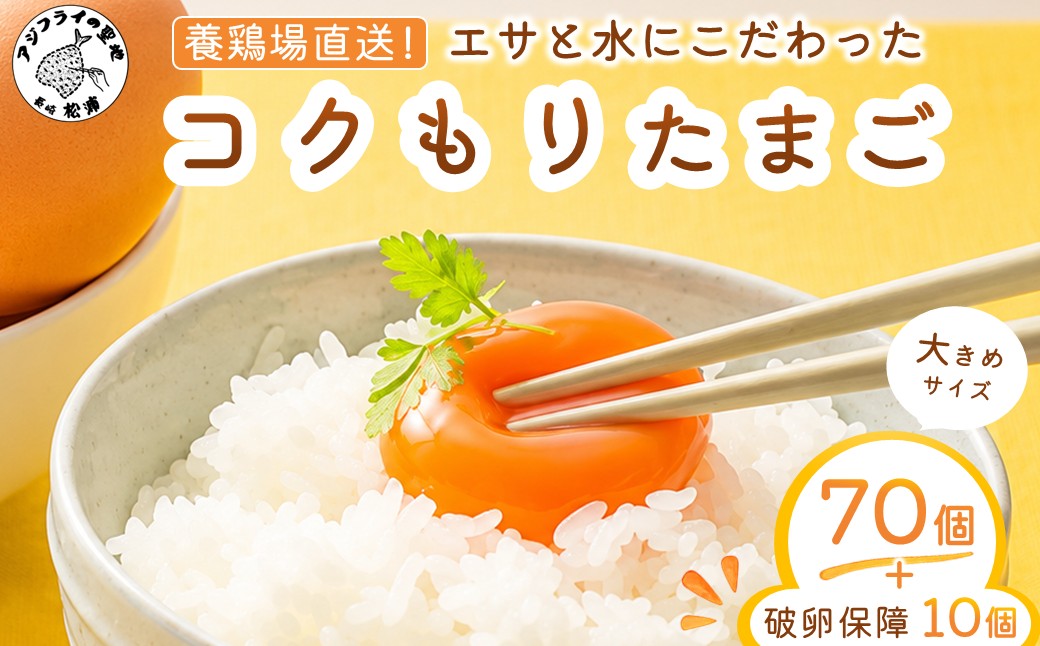 養鶏場直送！松浦の赤たまご『コクもりたまご』大きめサイズ70個+破卵保障10個【135-0002】