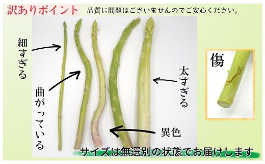訳ありご家庭用に大活躍！僕とじいちゃんのアスパラガス2kg ( 訳あり 不揃い アスパラガス 大容量 新鮮 朝採れ 野菜 生産者直送 )【158-0001】