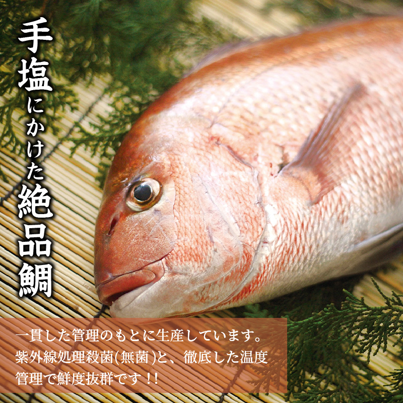 まつよう太切りたい茶漬け 8P( 鯛 タイ 魚 茶漬け お茶漬け 丼 贅沢 切り身 海鮮 時短料理 贈答 家庭用 )【133-0007】