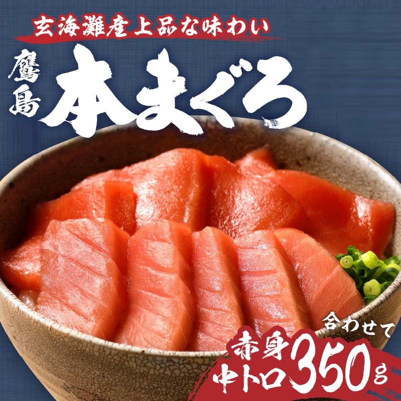 鷹島本まぐろ柵(赤身・中トロ) 合わせて350g( マグロ まぐろ 中トロ 赤身 本まぐろ 手軽 おつまみ 柵 流水解凍 )【B4-141】