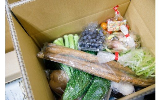 道の駅松浦海のふるさと館『旬のお野菜』の大満足セット！【004-0003】