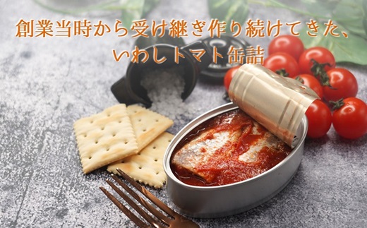缶詰工場直送 「旬ほとぎ」イワシ缶＆アジ南蛮漬缶 5種類の味わい15缶 ( ふるさと納税 アジ缶 イワシ缶 缶詰 イワシ アジ 南蛮漬 いわし ご飯のお供 非常食 保存食 送料無料 ) 【165-0009】