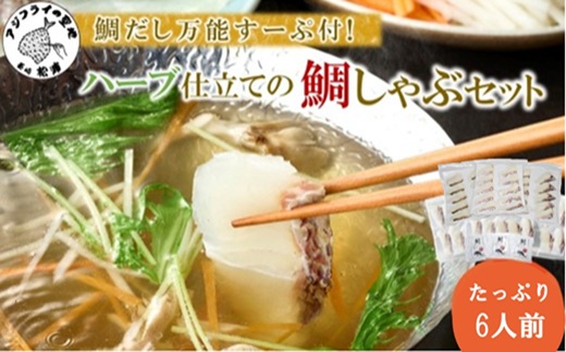 鯛だし万能すーぷ付！ハーブ仕立ての鯛しゃぶセット工場直送たっぷり6人前 ( 真鯛 ハーブ 鯛だし 凝縮 鯛しゃぶ カルパッチョ パスタ ハーブ飼料 )【143-0005】