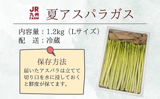 JR九州ファームの夏アスパラガス Lサイズ1.2kg( アスパラガス アスパラ 夏アスパラ 野菜 甘み 柔らかい 松浦市 )【B0-267】
