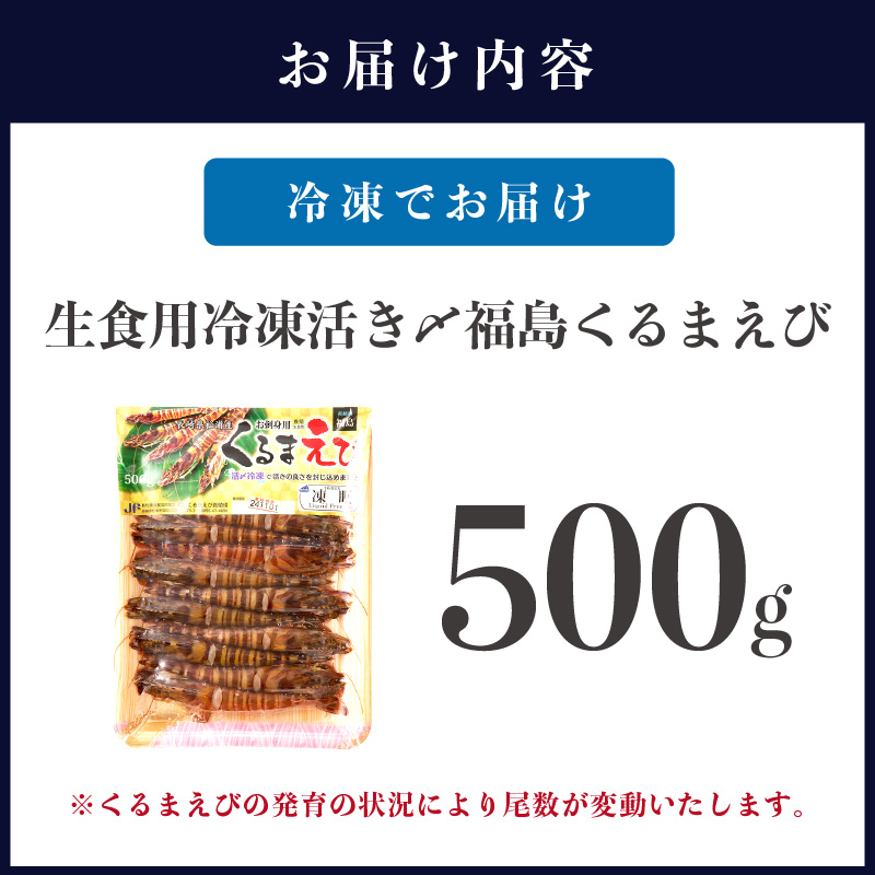 生食用冷凍活き〆福島くるまえび500g×1パック( 車エビ クルマエビ くるまえび えび エビ 海老 生食用 )【152-0008】