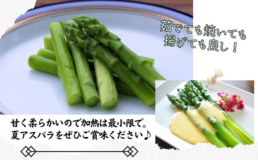 JR九州ファームの夏アスパラガス Lサイズ1.2kg( アスパラガス アスパラ 夏アスパラ 野菜 甘み 柔らかい 松浦市 )【B0-267】