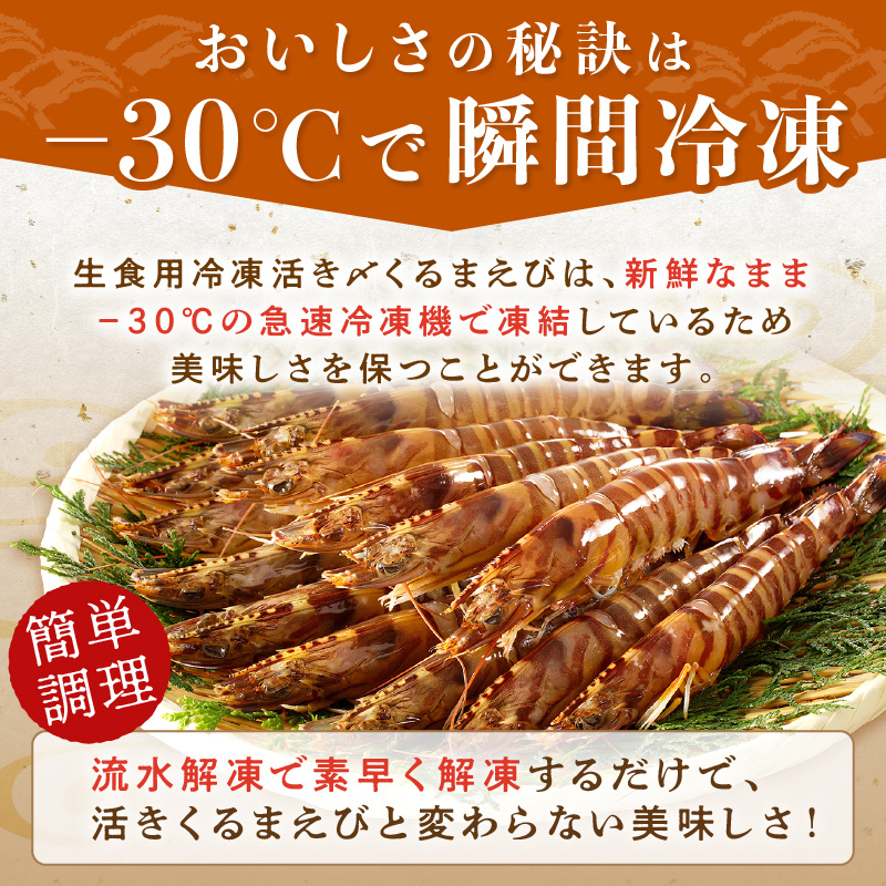 生食用冷凍活き〆福島くるまえび200g×1パック( 車エビ クルマエビ くるまえび えび エビ 海老 生食用 )【152-0004】