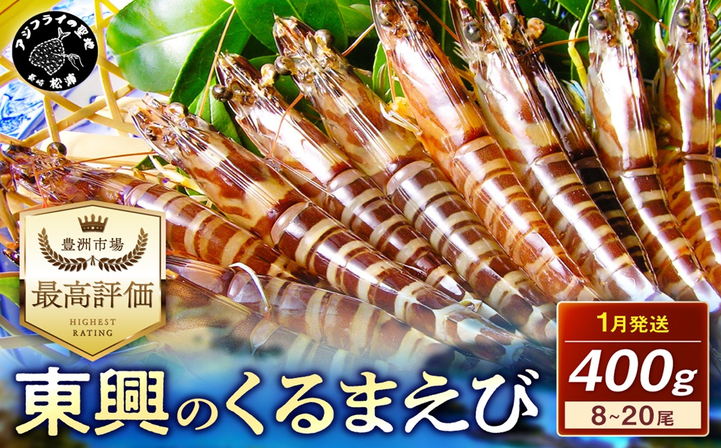 【宅配BOX不可】東興のくるまえび400g入【1月発送】( くるまえび 東興のくるまえび 車海老 海老 エビ )【116-0001-01M】