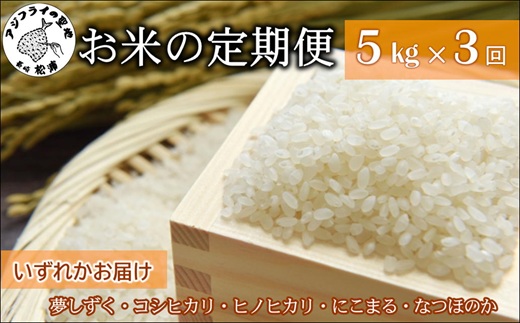 【全3回定期便】お米の定期便5kg ( 定期便 米 お米 ご飯 白米 夢しずく コシヒカリ ヒノヒカリ にこまる なつほのか )【074-0002】