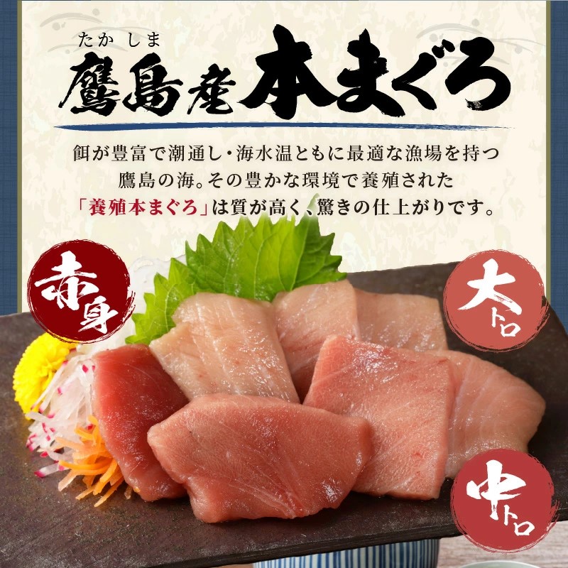 鷹島本まぐろ 食べきりサイズ(80g×4p)とレンジで簡単！ 鷹島のアジフライセット(4枚×2p) ( 本まぐろ マグロ 鷹島産本まぐろ アジフライ あじ フィレタイプ ) 【B7-041】