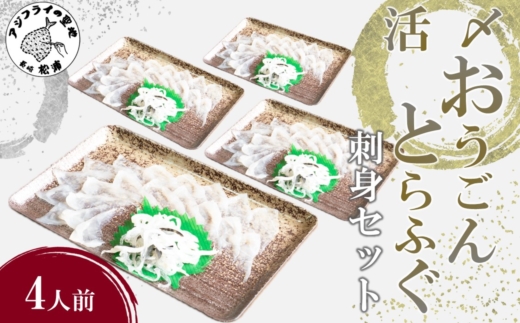 活〆おうごんとらふぐ刺身4人前セット( 活〆 おうごんとらふぐ とらふぐ 刺身 高品質 養殖 高評価 )【095-0004】