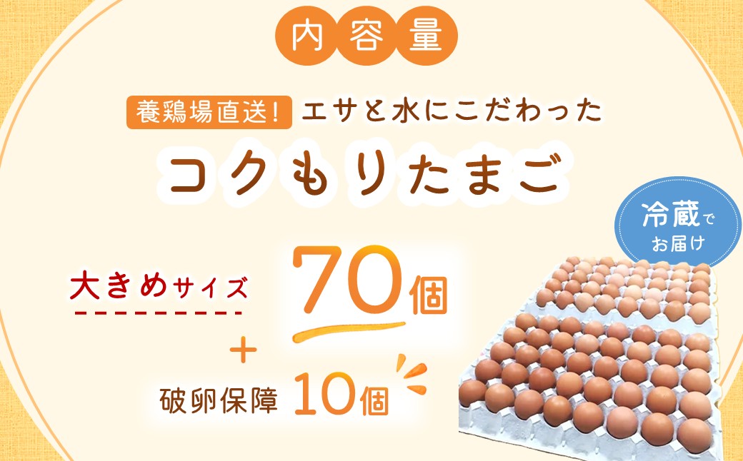 養鶏場直送！松浦の赤たまご『コクもりたまご』大きめサイズ70個+破卵保障10個【135-0002】