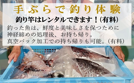 【釣り堀ハマカツ】1名釣り堀利用券(男性1名)【014-0003】