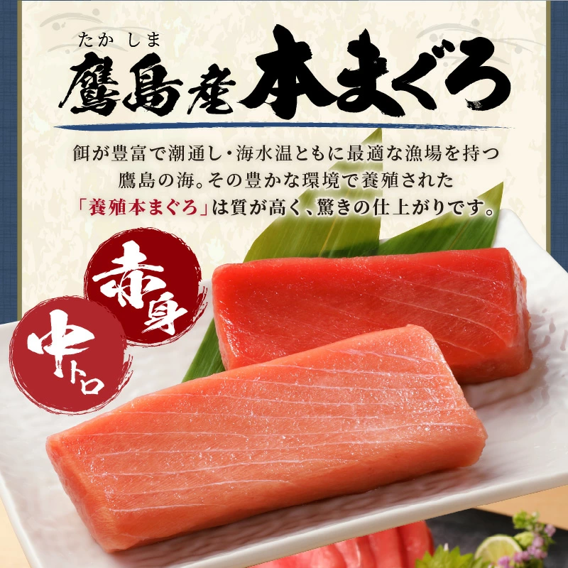 鷹島本まぐろ柵(赤身・中トロ) 合わせて350g( マグロ まぐろ 中トロ 赤身 本まぐろ 手軽 おつまみ 柵 流水解凍 )【B4-141】