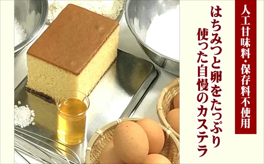 【TVで紹介！】第19回全国菓子大博覧会で金賞受賞の「長崎カステラ」1本( 和菓子 スイーツ デザート おやつ カステラ 長崎 お菓子 松浦市 )【105-0002】