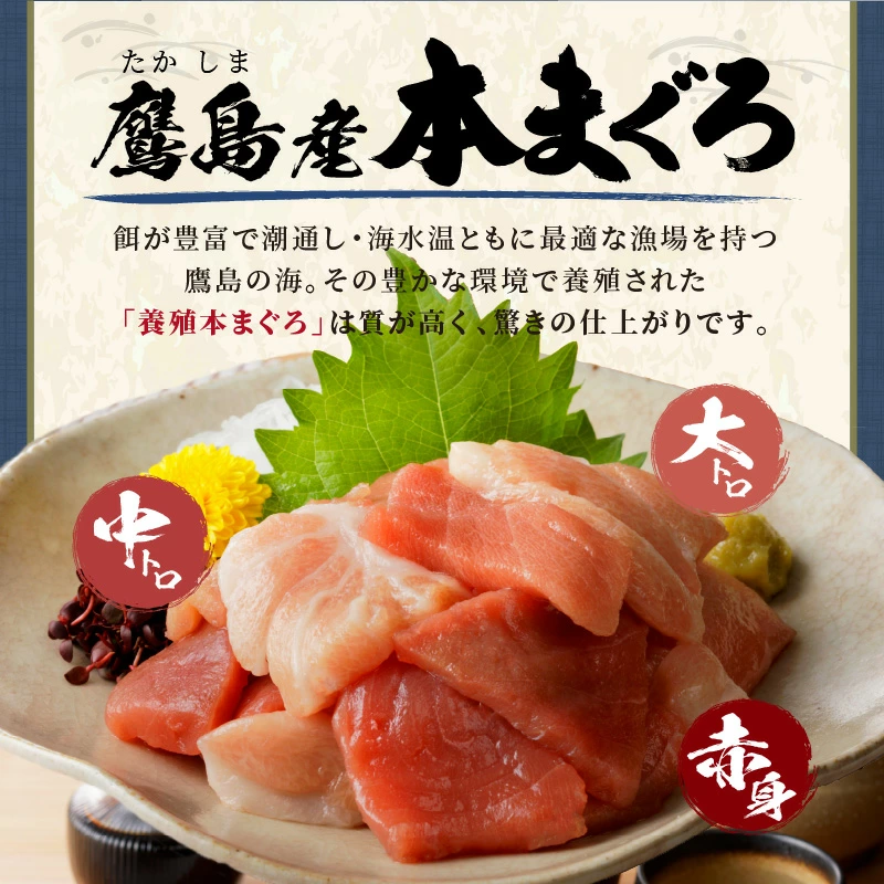 鷹島産本まぐろ 贅沢まぐろ たっぷり2人前(赤身と中・大トロの切り落とし200g)×1パック( まぐろ マグロ 鮪 大トロ 中トロ 赤身 本まぐろ 切り落とし 簡単解凍 )【134-0012】