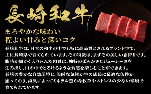 【和牛セレブ】長崎和牛焼肉バラ(トモバラ) 400g( 長崎和牛 和牛 焼肉 バラ トモバラ カルビ )【182-0008】