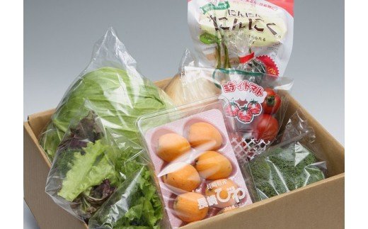 道の駅松浦海のふるさと館『旬のお野菜』の大満足セット！【004-0003】