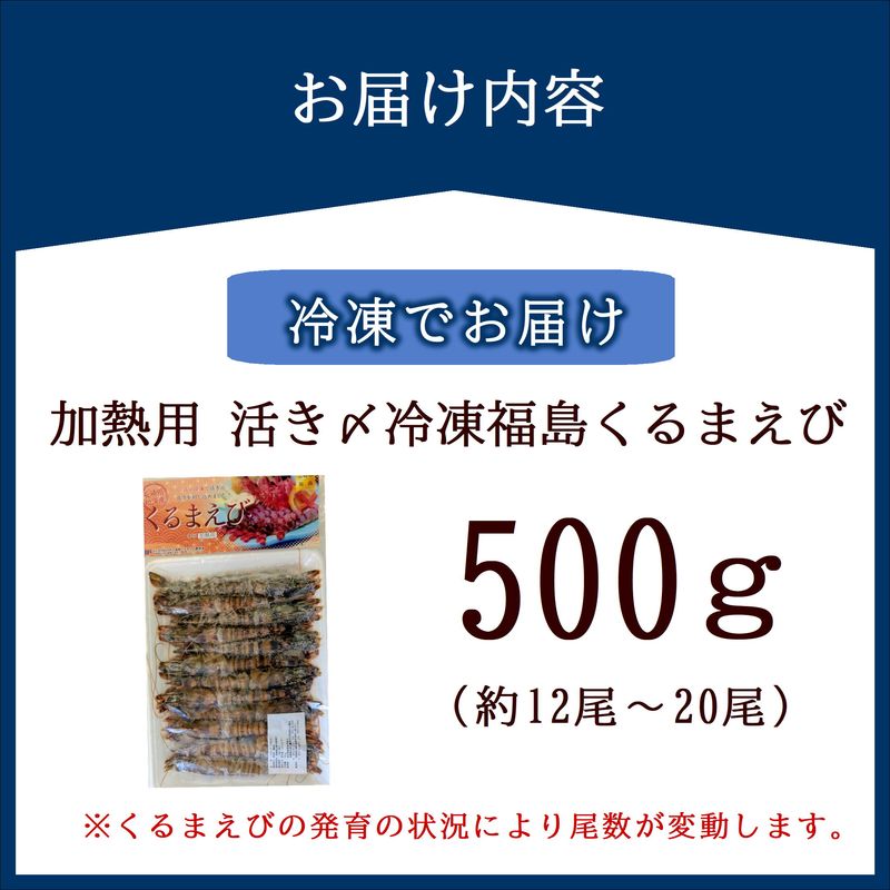 加熱用 活き〆冷凍福島くるまえび500g( 車エビ クルマエビ くるまえび えび エビ 海老 加熱用 )【152-0006】