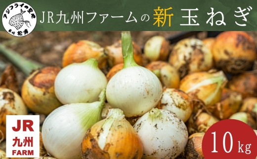 JR九州ファームの 新玉ねぎ 10kg( 玉ねぎ 甘い 野菜 新玉ねぎ 野菜 国産 送料無料 )【176-0008】