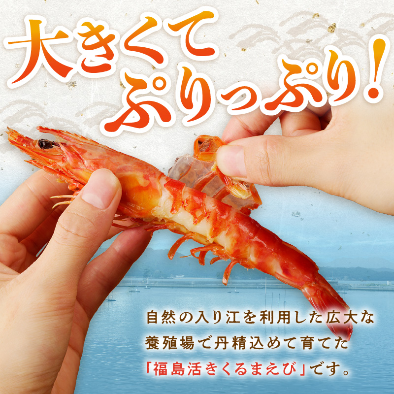 くるまえび みそ漬け200g×2P( 海鮮類 エビ 海老 えび 福島産 車エビ )【B5-116】
