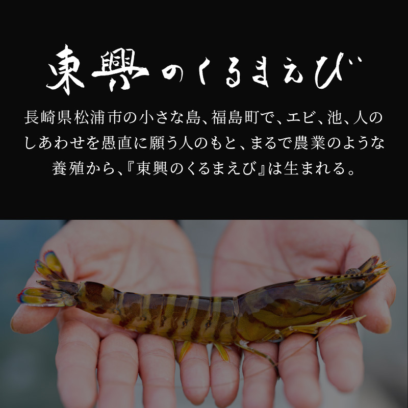 【宅配BOX不可】東興のくるまえび400g入【1月発送】( くるまえび 東興のくるまえび 車海老 海老 エビ )【116-0001-01M】