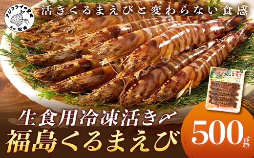 生食用冷凍活き〆福島くるまえび500g×1パック( 車エビ クルマエビ くるまえび えび エビ 海老 生食用 )【152-0008】