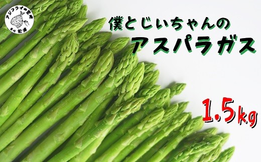 僕とじいちゃんのアスパラガス1.5kg ( アスパラガス 朝採れ新鮮 新鮮 野菜 期間限定 )【158-0002】