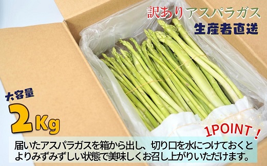 訳ありご家庭用に大活躍！僕とじいちゃんのアスパラガス2kg ( 訳あり 不揃い アスパラガス 大容量 新鮮 朝採れ 野菜 生産者直送 )【158-0001】