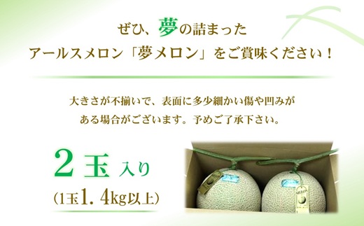 1.4kg以上！大玉アールスメロン　夢メロン2玉入り( メロン 大玉 夢メロン アールスメロン )【B0-202】